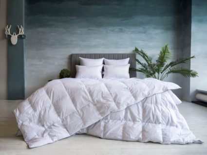 Подушка German Grass Gray Familie Down упругая 50х70