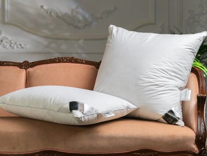 Подушка Trois Couronnes Royal Wild Duck Down Soft 50х70