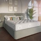 Матрас Evita Basis Plus 120х186
