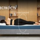 Матрас Димакс Практик Базис Bonnel 120х186